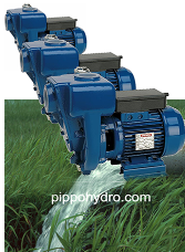 Speroni elettropompe pompe multistadio silenziose autoadescante CAM75 monoblocco per irrigazione a scorrimento nel terreno per acque sporche