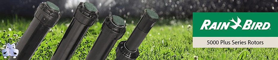 irrigazione a pioggia orto irrigazione a pioggia agricoltura irrigazione a pioggia giardino irrigazione per aspersione a pioggia irrigatori a pioggia usati irrigazione a pioggia fai da te irrigazione localizzata impianto a pioggia rainbird