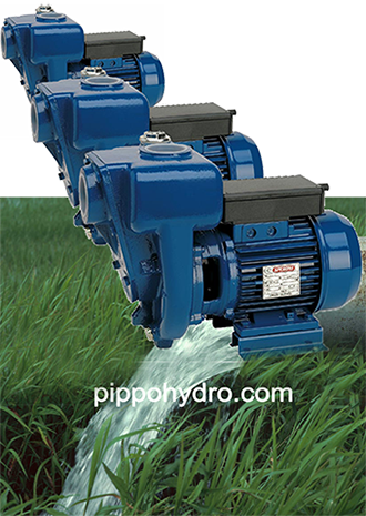 pompe autodescanti acque sporche produzione speroni water pumps