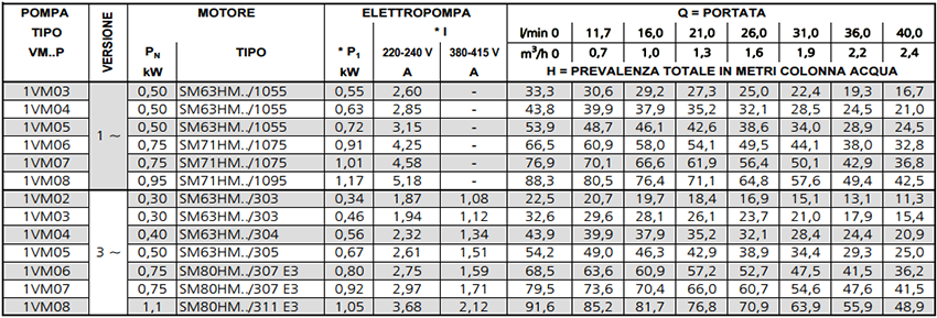 dimensioni misure progettuale delle pompe 1vm lowara