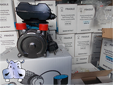 elettropompa_prezzi_bisenso_water_pumps_stainless_steel