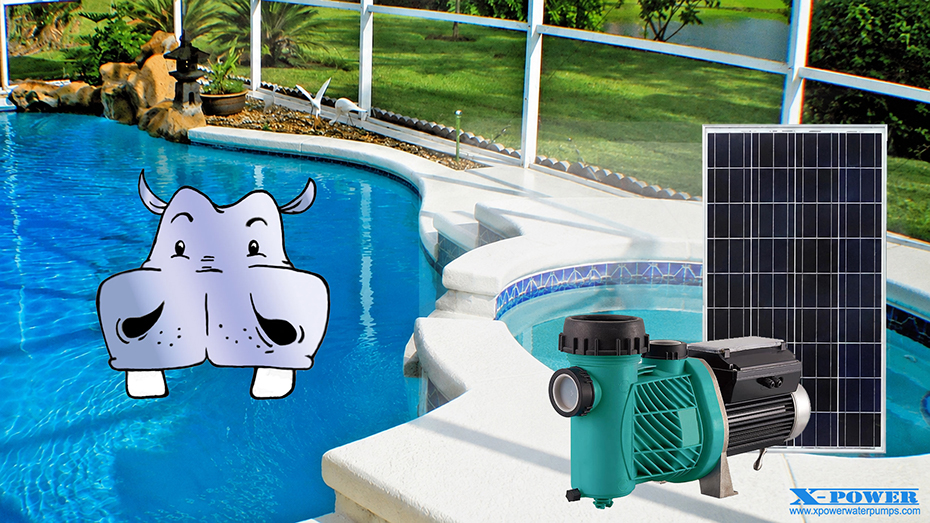 pompa solare, pannelli solari pannello solare fotovoltaico fotovoltaici piscina
